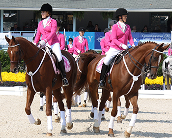 Click photograph above to view full gallery of images!