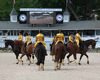 Click photo above to view full gallery!