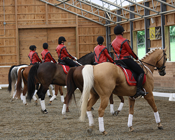 Click photo above to view full gallery!