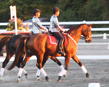 Click photo above to view full gallery!