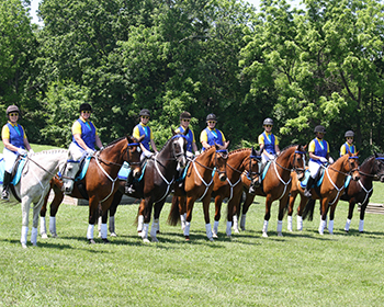 Click photo above to view full gallery!