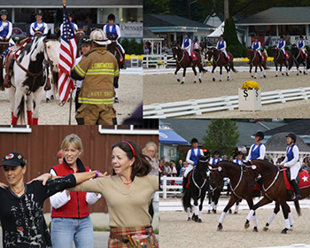 Devon-collage-2011_350px