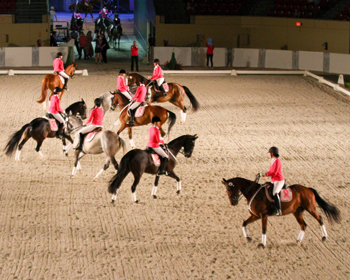 Click photo above to view full gallery!