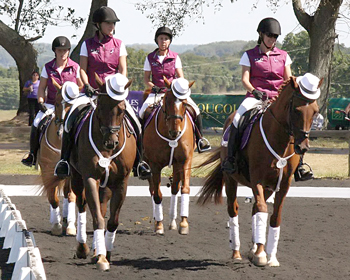 quad_9-16_14_gallery_cropped