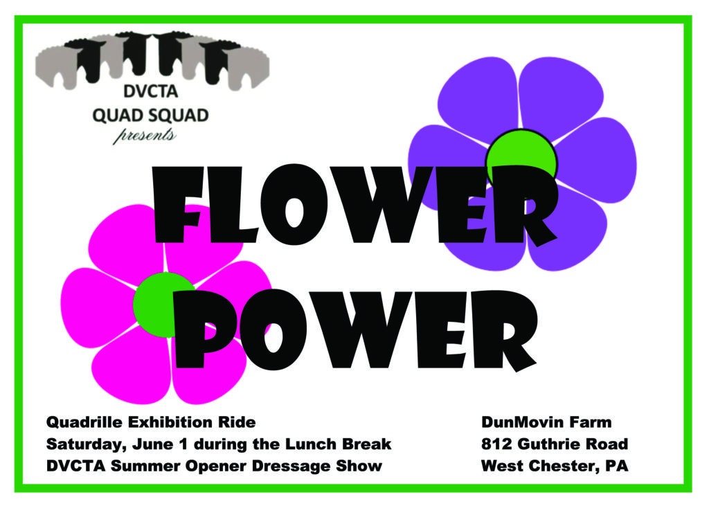 dvcta quadrille exhibition ride